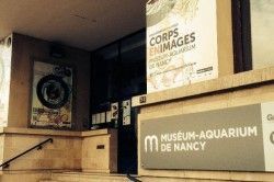 Museum-Aquarium de Nancy - Services publics Nancy