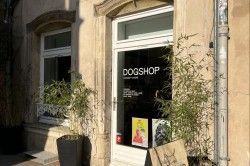 Dogshop - Maison / Déco / Cadeaux Nancy